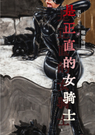乙女游戏的女骑士