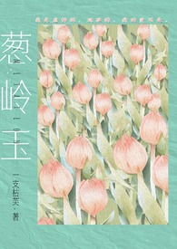 葱岭百年古屋
